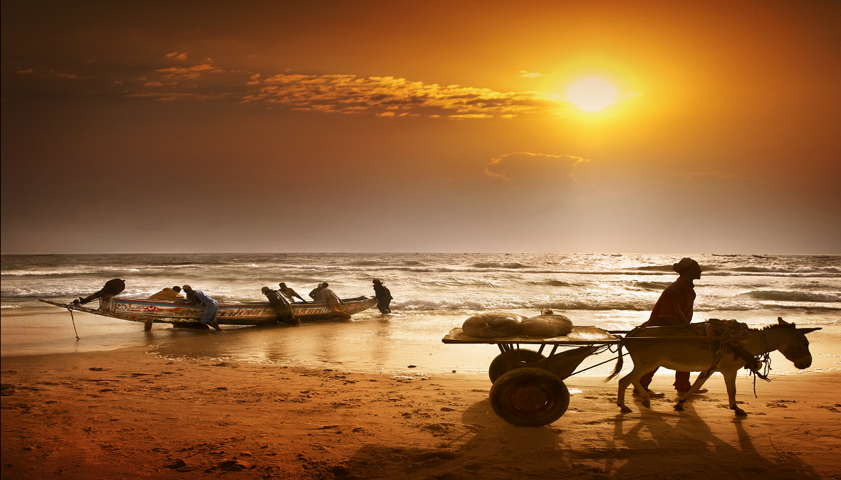Mauritanie-plages-©Patrick-Galibert