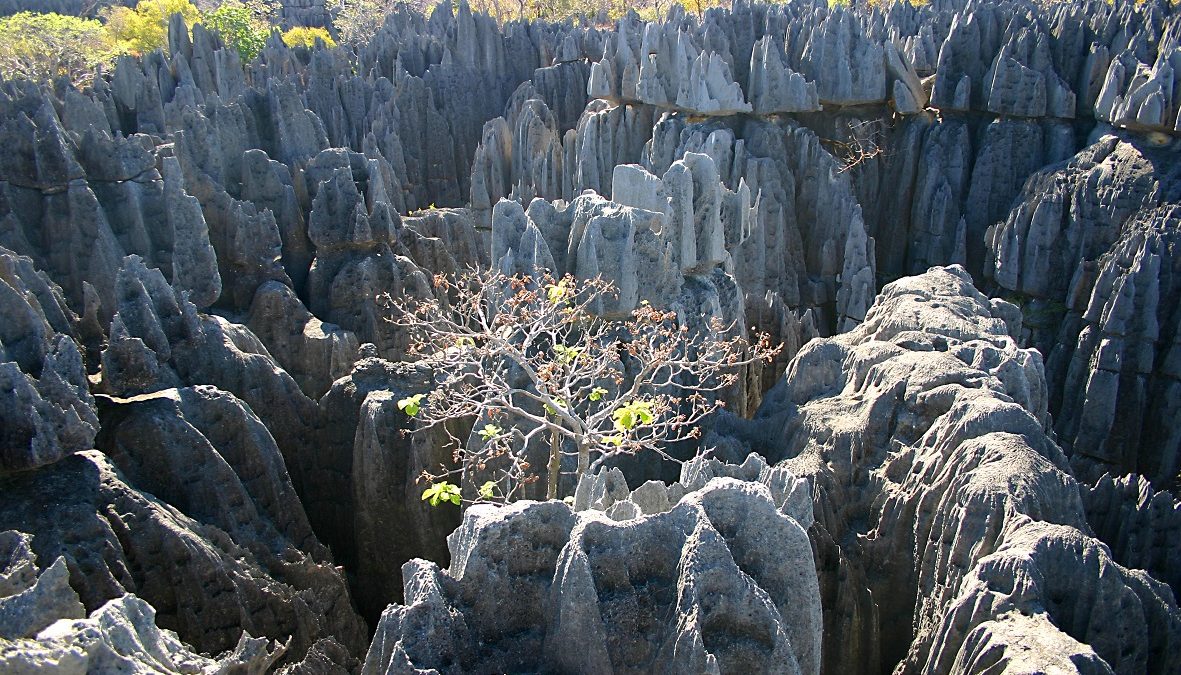 tsingy_de_bemaraha